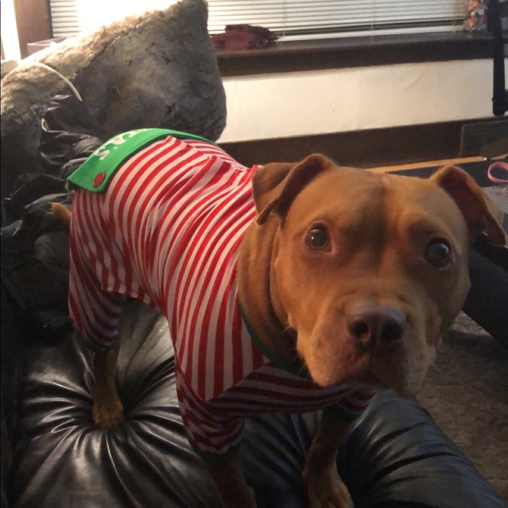 Meet your Posher, Melanie